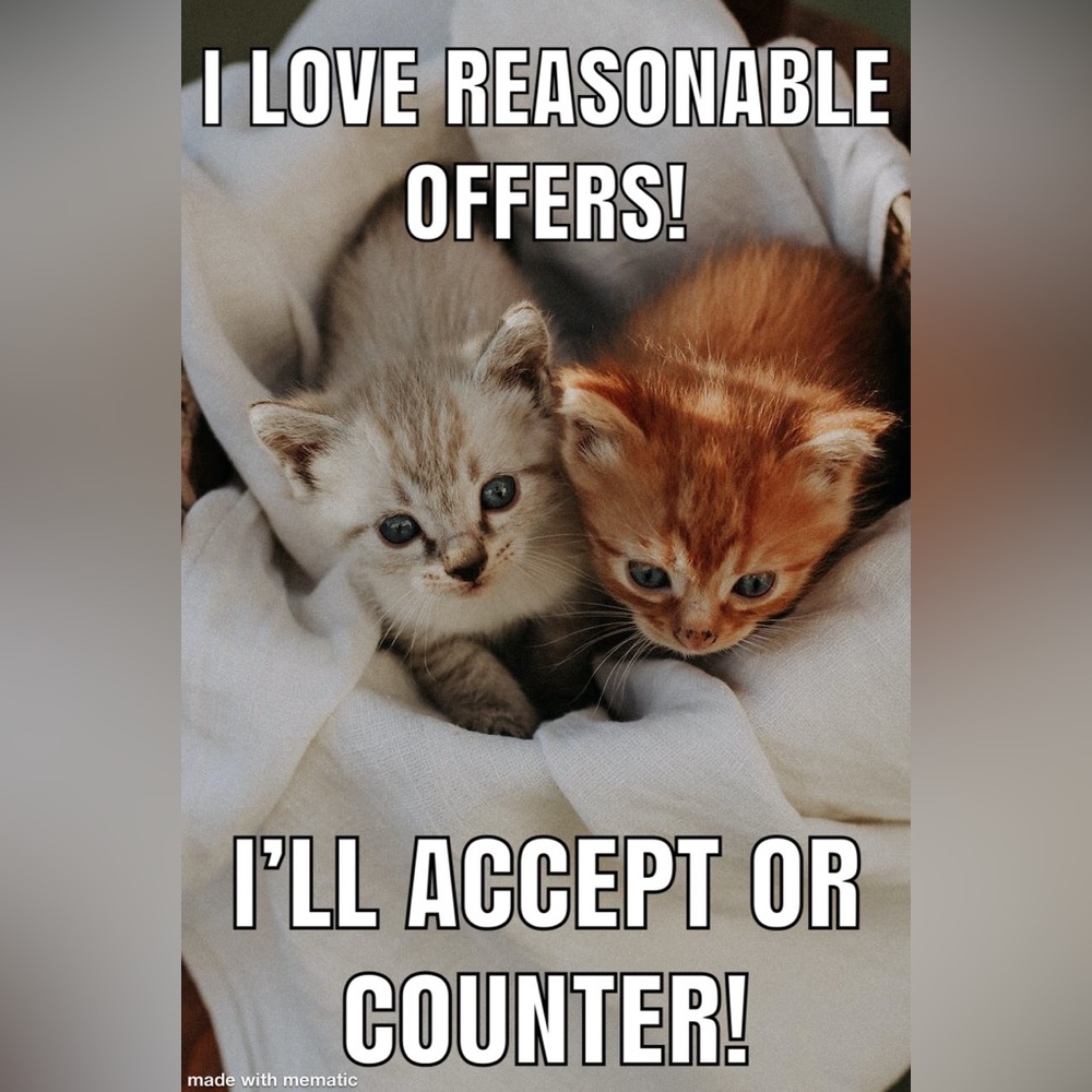 I love Fair Offers! (& Kittens too!) Anything over $10! - Picture 1 of 1